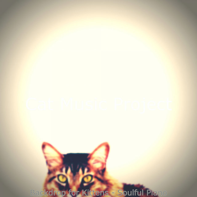 Backdrop for Kittens - Soulful Piano