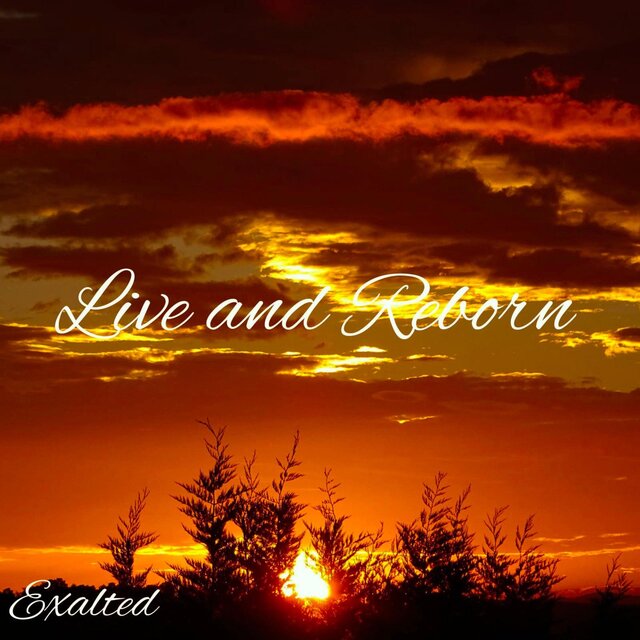 Live and Reborn
