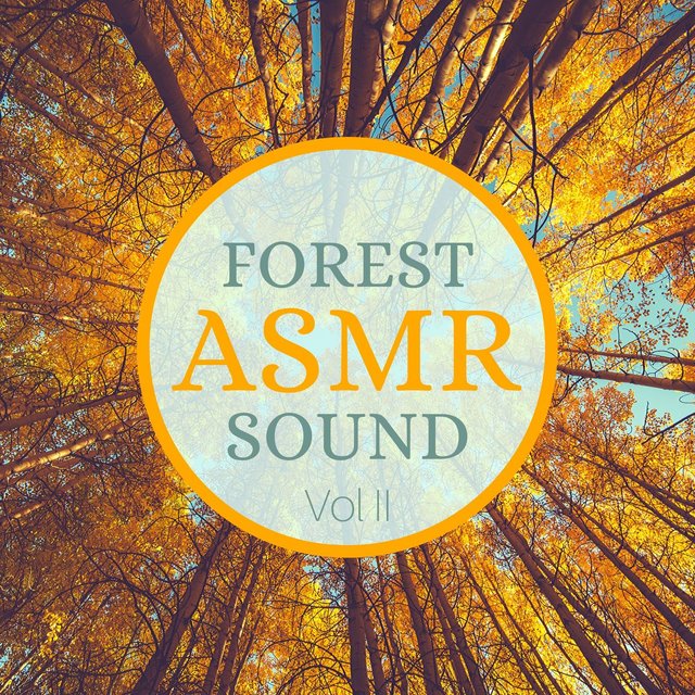 Forest Sound ASMR, Vol. 2: Relaxing Music, Nature Sounds, White Noise, Leaves, Trees & Wind for Deep Relaxation