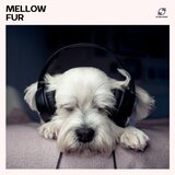 Mute Pawprints