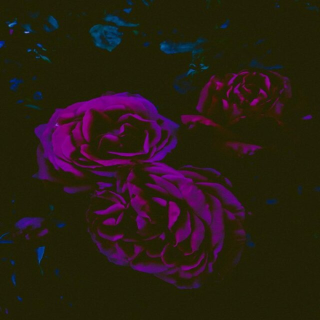 Est. In '96 II (Deluxe)