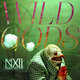 Cover art for album Wild Gods by The Number Twelve Looks Like You