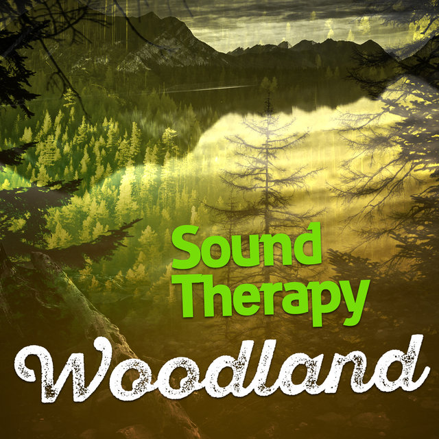 Sound Therapy: Woodland