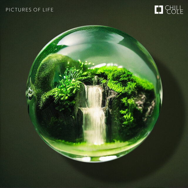 Pictures of Life