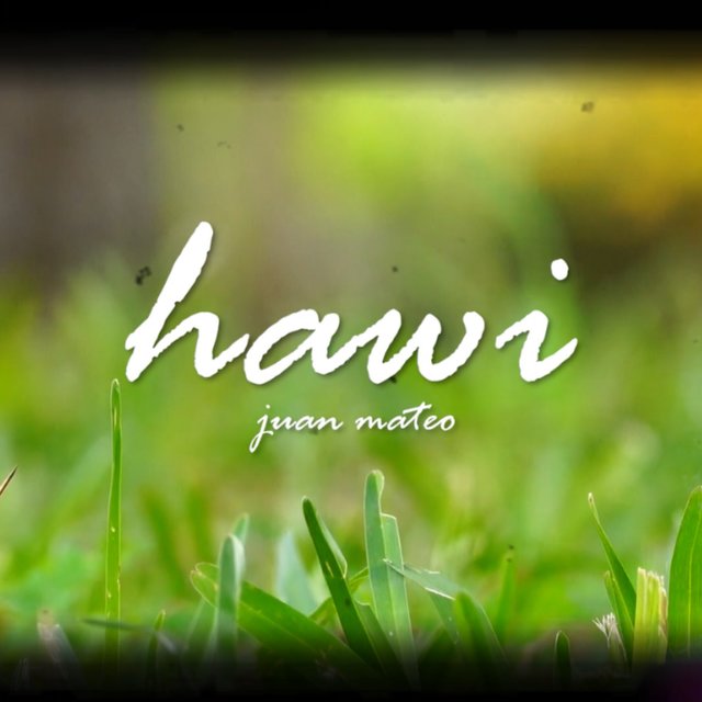 hawi