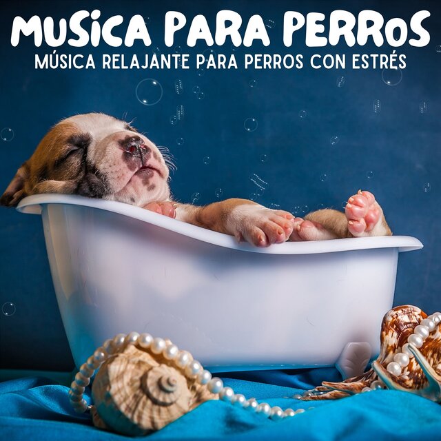 Musica Relajante para Perros con Estres