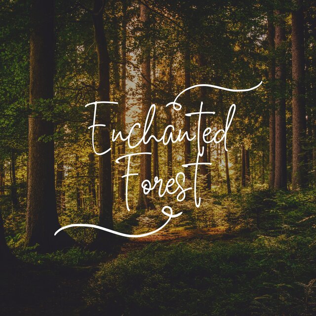 Enchanted Forest: New Age Music for Fairy Tales and Magic with Celtic Harp and Nature Sounds