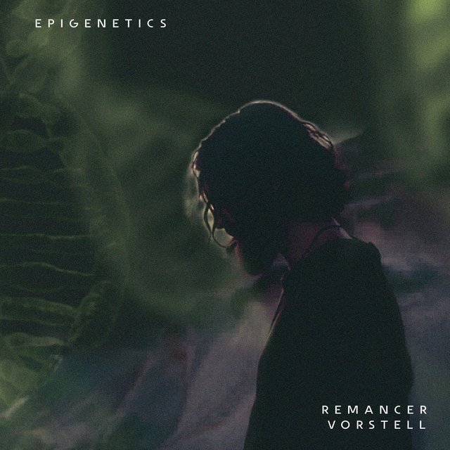 Epigenetics