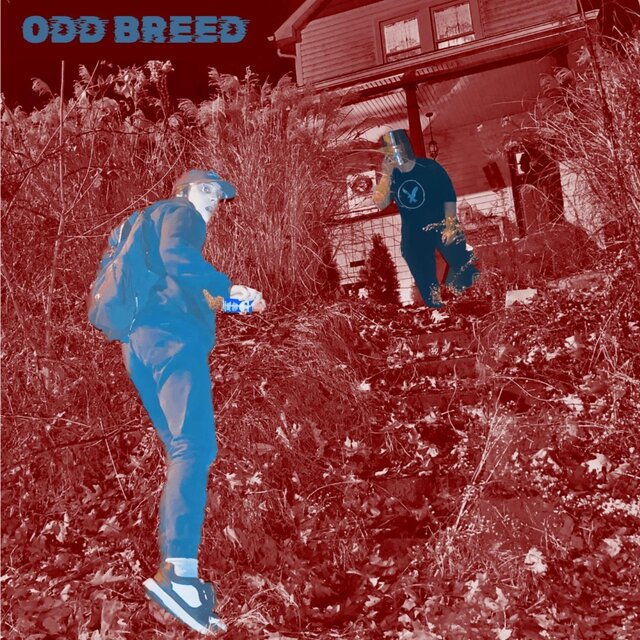 No Brakes On Red