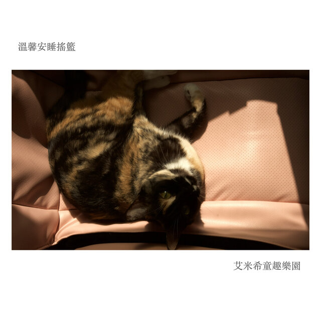 溫馨安睡搖籃
