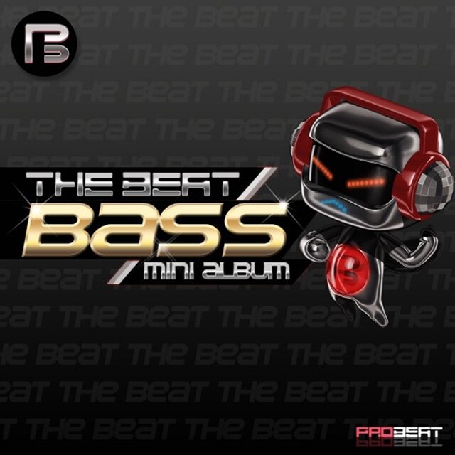 The Beat Bass