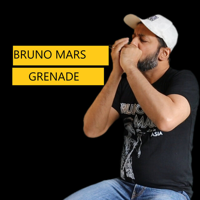 Grenade (Harmonica Version)