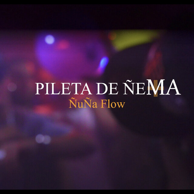 Pileta De Ñema