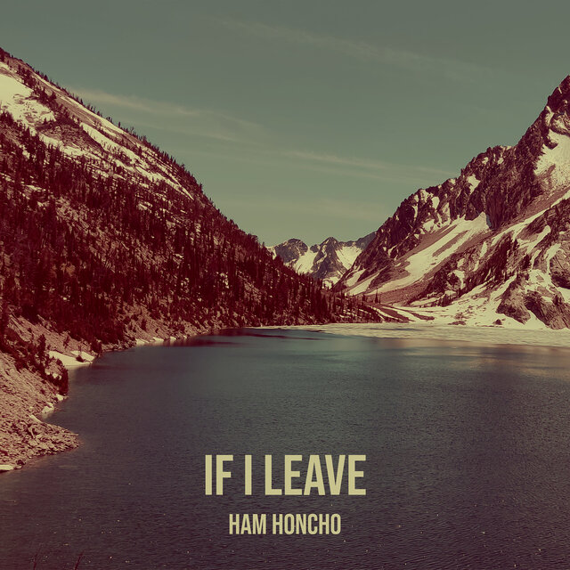 If I Leave