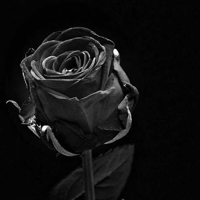Silenzio