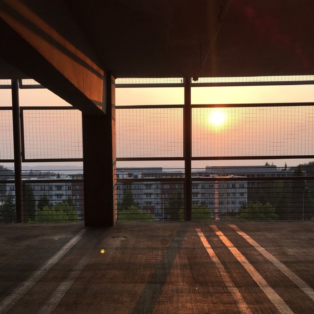 Summer Lasts