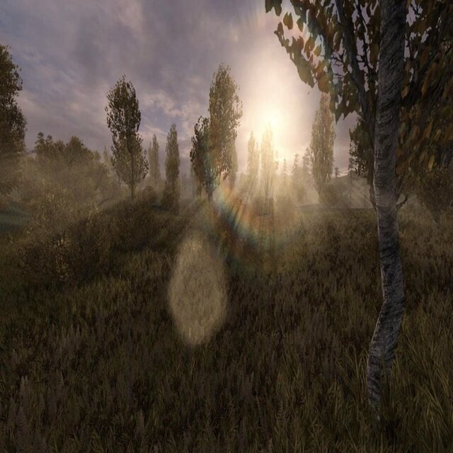 echoes of life