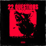 22 Questions