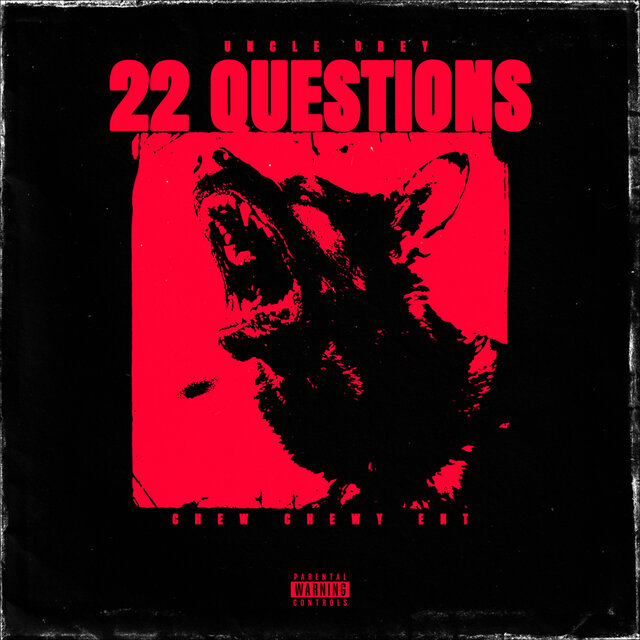 22 Questions