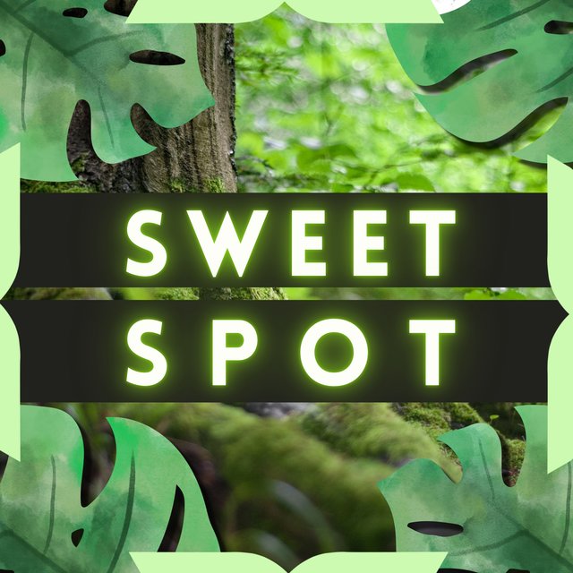 Sweet Spot