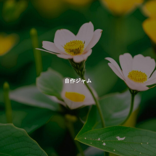 自作ジャム