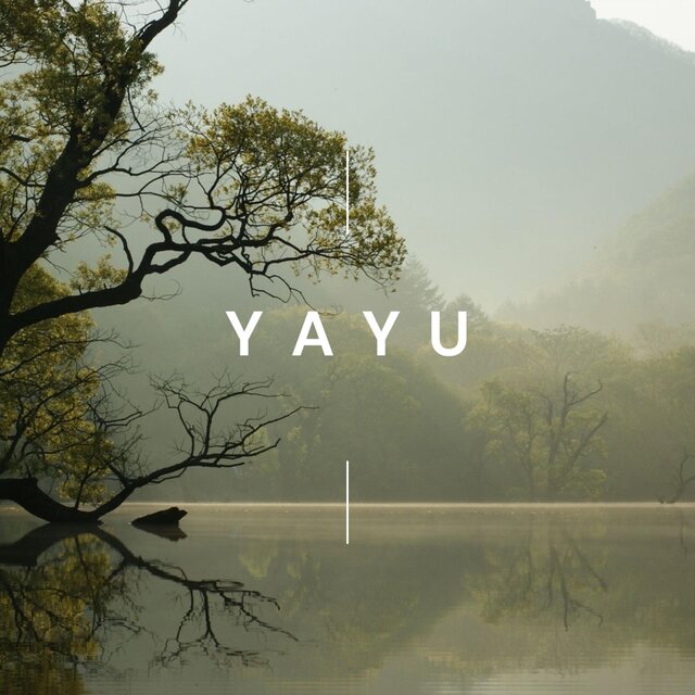 Yayu