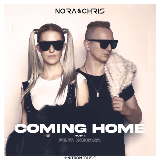 Coming Home (feat. Indiiana) (Part II)