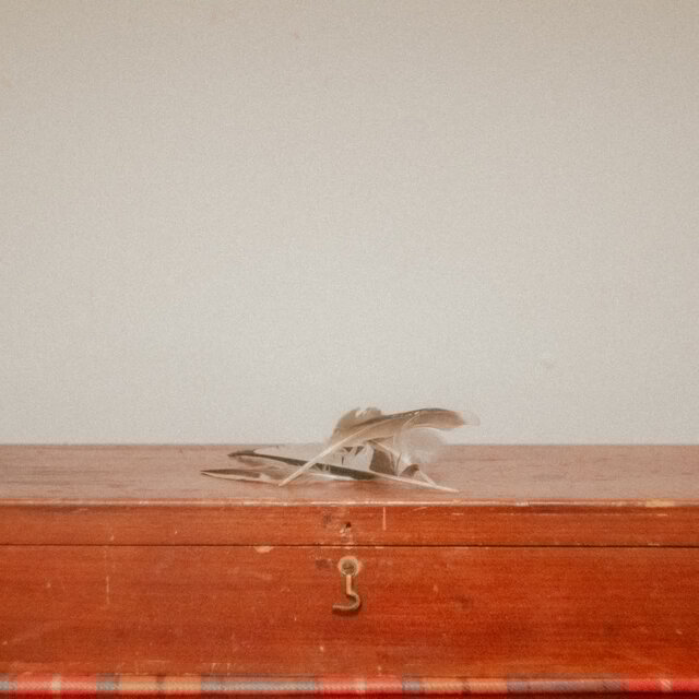 For You, Who Sings With The Garden Birds
