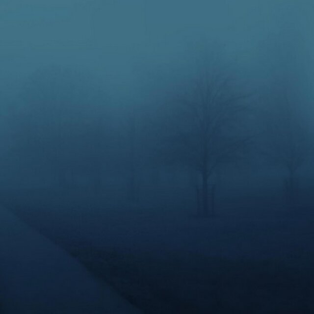 uncertain path