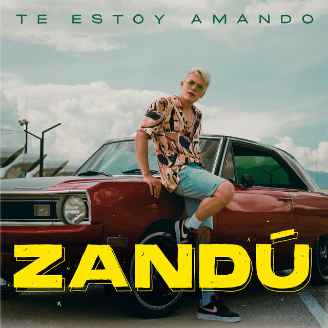 Te Estoy Amando