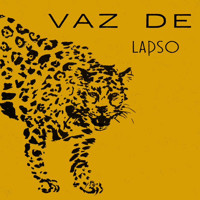 Vaz de Lapso