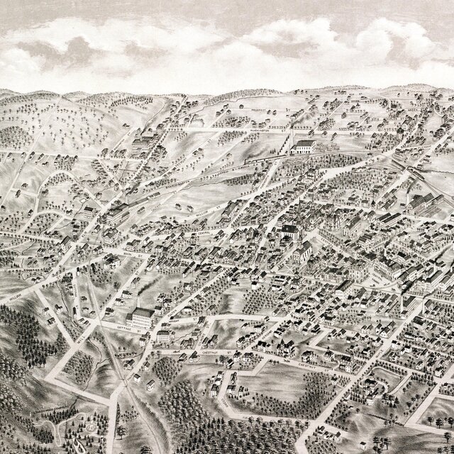 Collincote