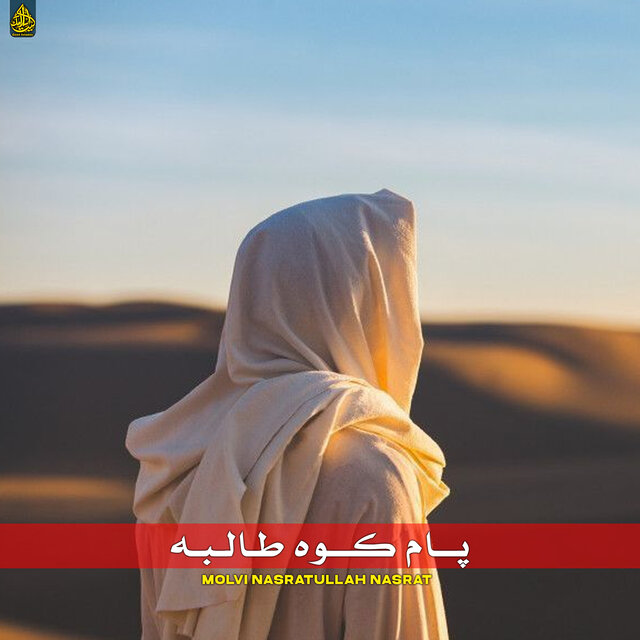 پام کوه طالبه