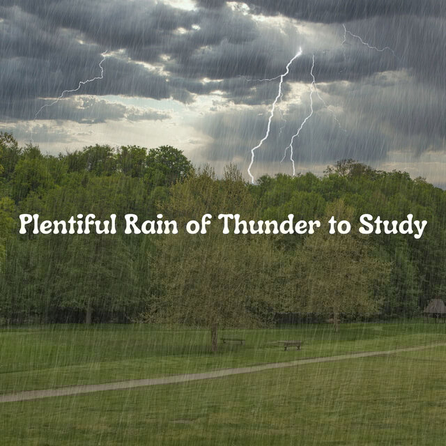 Plentiful Rain of Thunder to Study