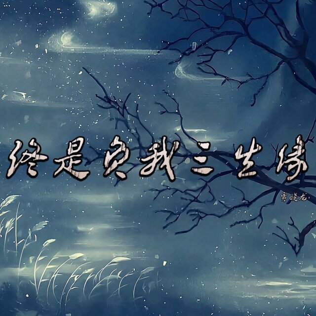 终是负我三生缘 (DJ何友版)