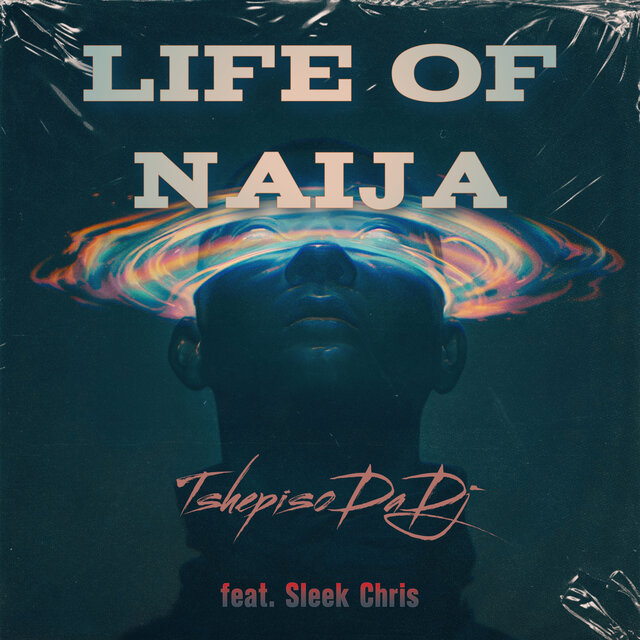 Life of Naija