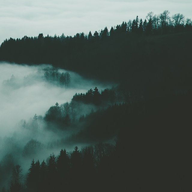 Together Alone