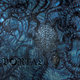 Cover art for album Vexovoid by Portal