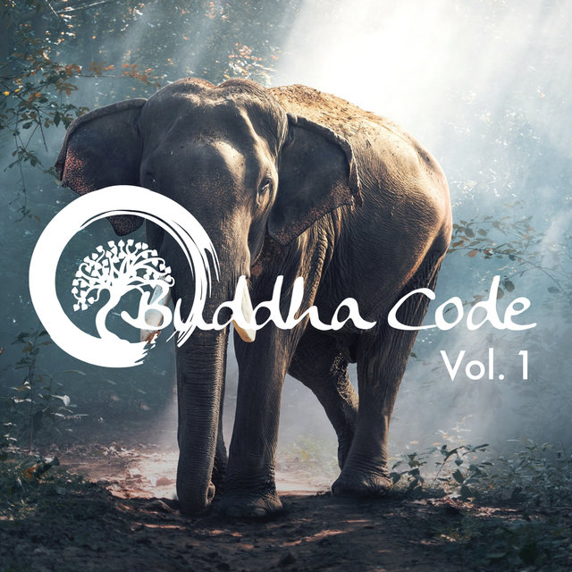 Buddha Code Vol. 1