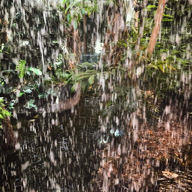 Méditations Poétiques // Poetical Meditations