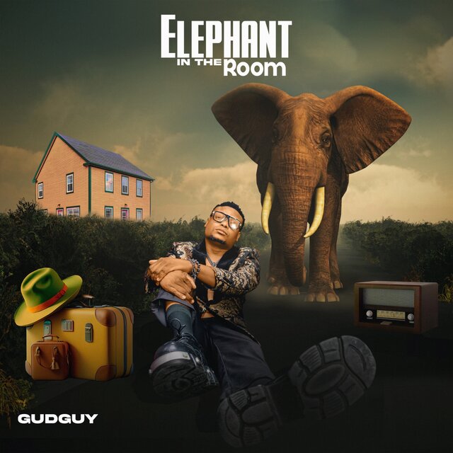 Elephant In The Room