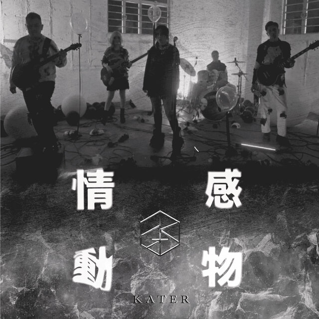 情感動物