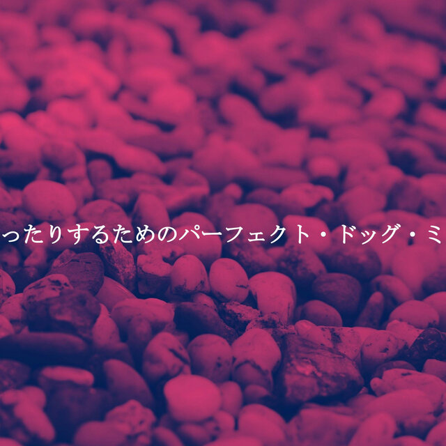 わんことまったりするためのパーフェクト・ドッグ・ミュージック