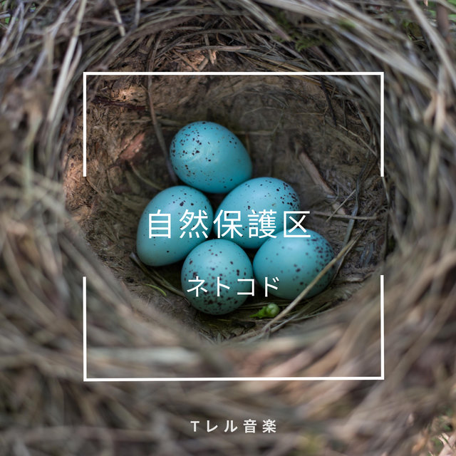 自然保護区