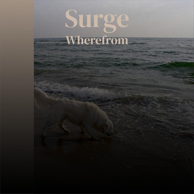 Surge Wherefrom
