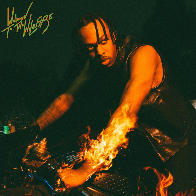 Welcome to the Wildfire