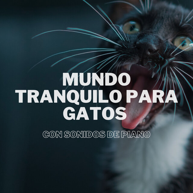 Mundo Tranquilo Para Gatos Con Sonidos De Piano