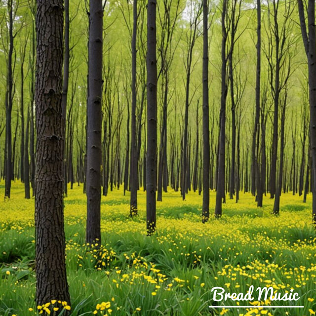 Cool Summer Piano Music. 10 Tracks (Birds · Cicada Sound)  |  In Forests, Secrets Keep Themselves