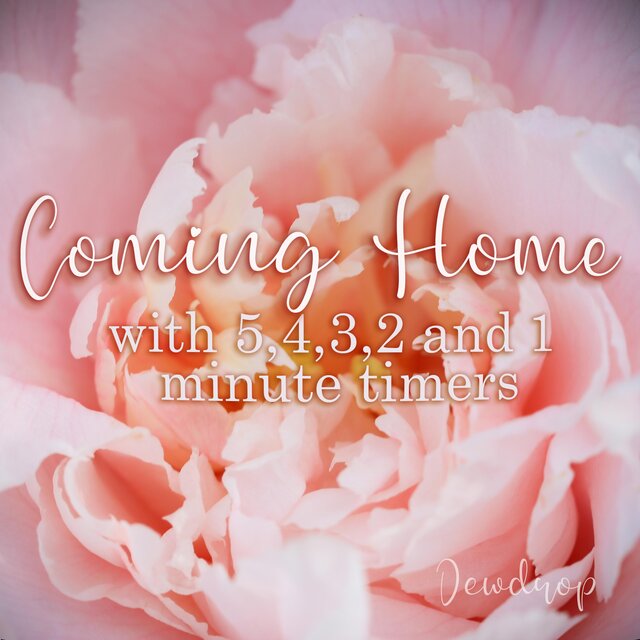 Coming Home