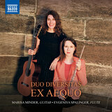 Duo for Violin & Viola in G Major, K. 423 (Arr. E. Fisk for Flute & Guitar): III. Rondeau. Allegro
